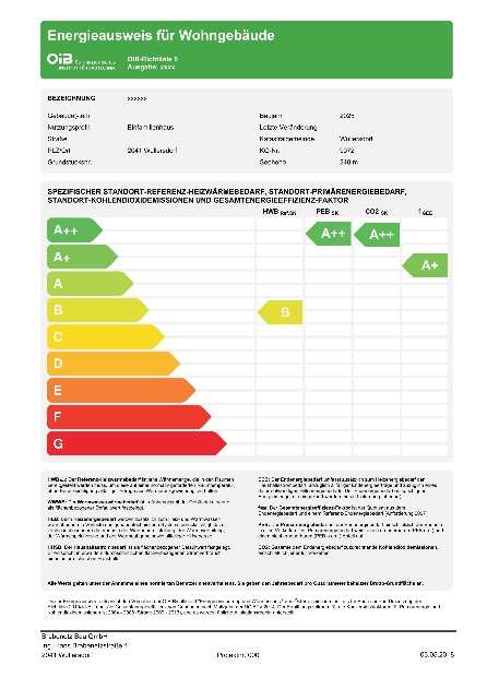Energieausweis (Muster)